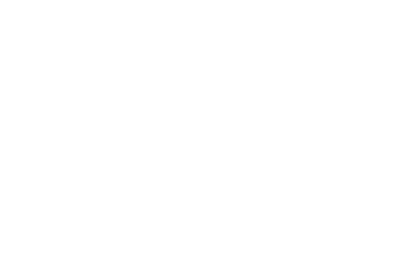 Alan's One Stop Computer Repair Logo